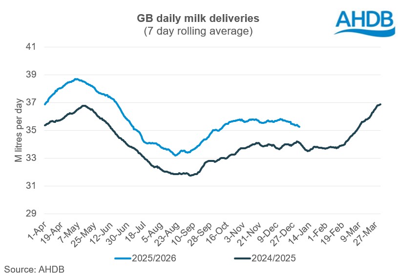 Daily milk deliveries are running well ahead of next year